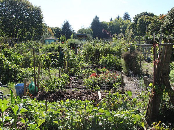5Garden1 5Garden1