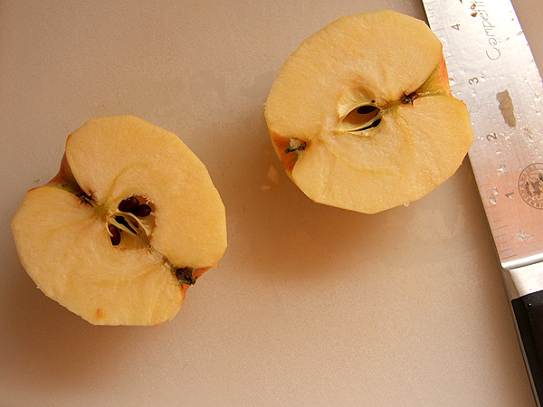 25Apple1