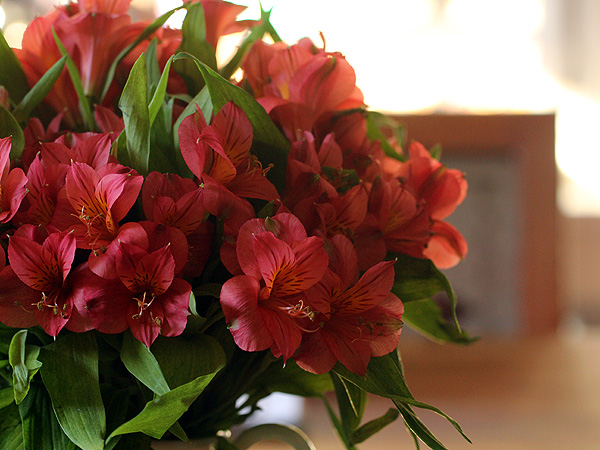 29Flowery1