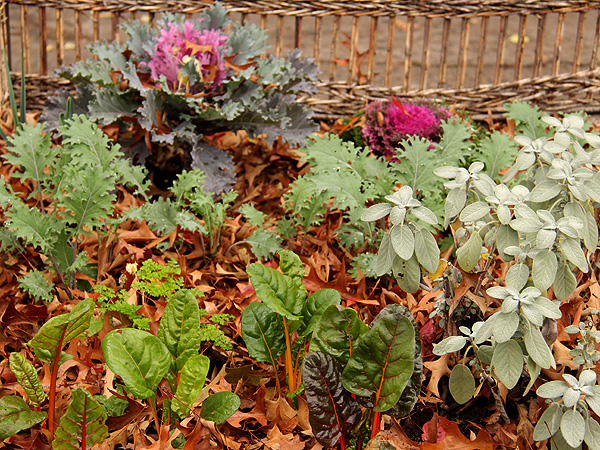 14Garden1 14Garden1