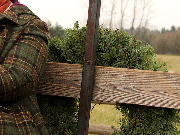 29TreeFarm7