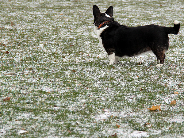 6Snow3