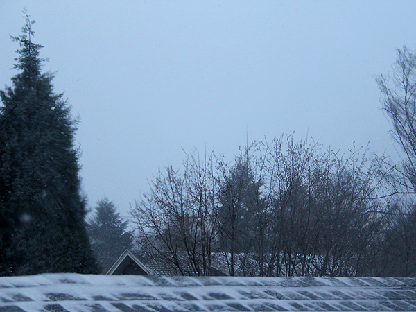 6Snow2