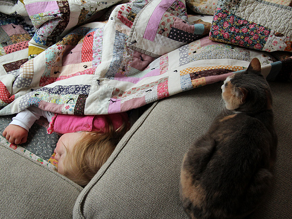 12Napper1