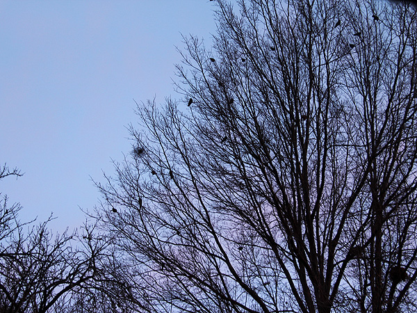 5Morning1