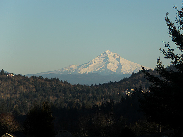 25Hike25