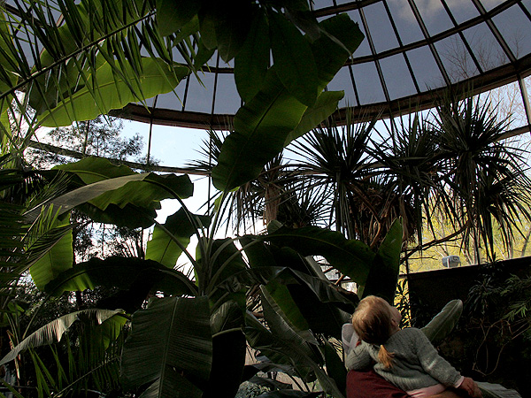 1Zoo6