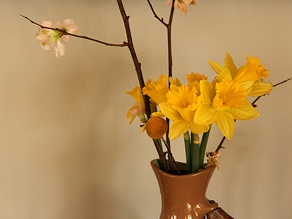 3Daffs1