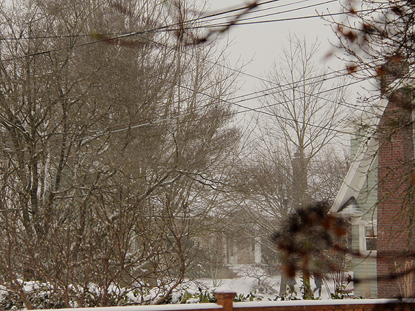 8Snow1 8Snow1