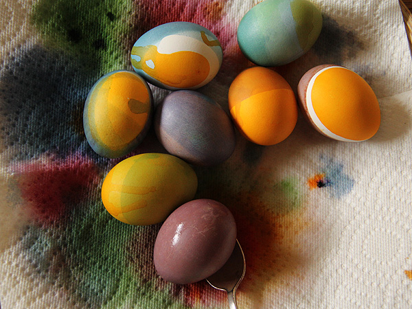 17Eggs2