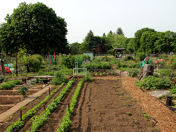15CommunityGarden2