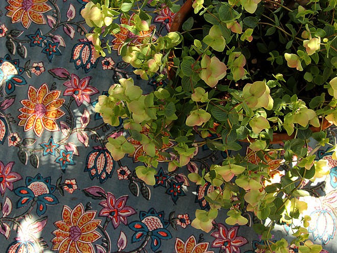19Table1