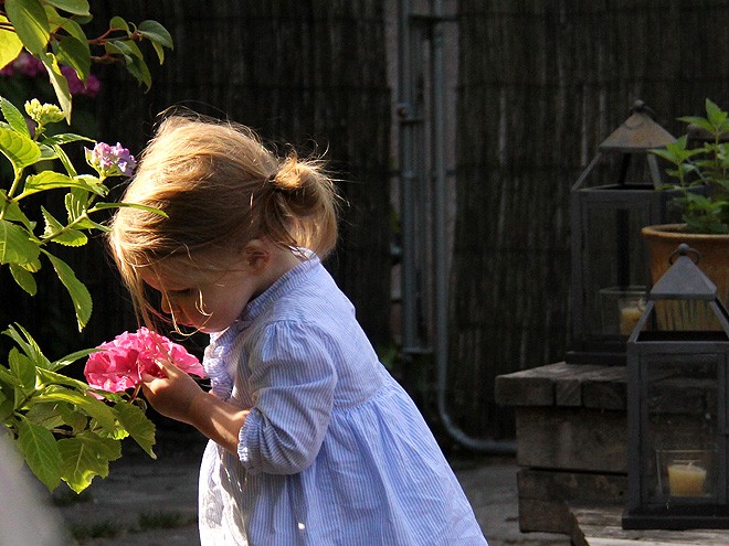 3Flower1