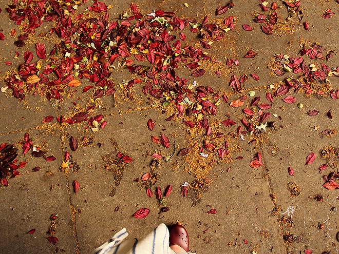8Sidewalk2