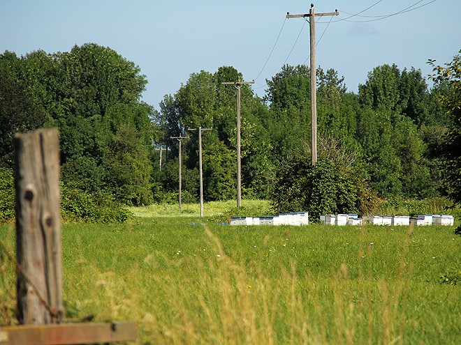 17Sauvie3