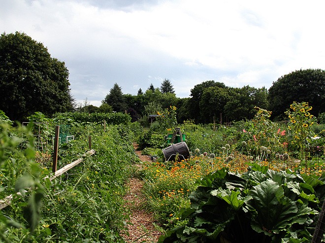 26Garden2