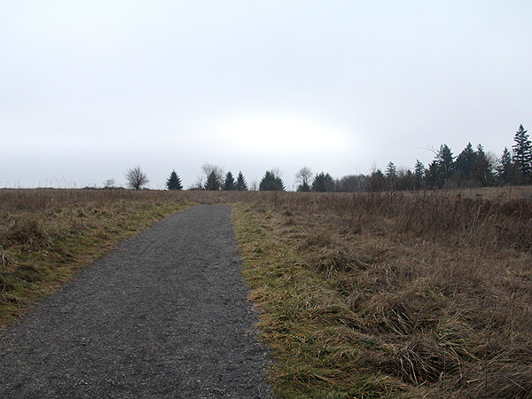 29Walk7