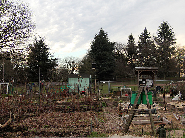 21Garden1