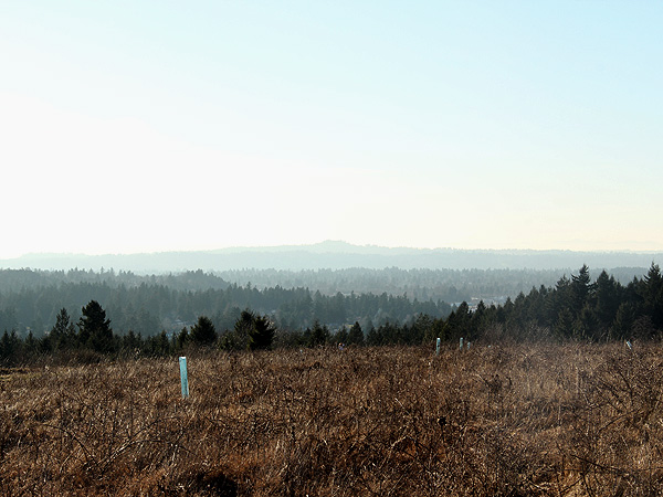 25Hike6