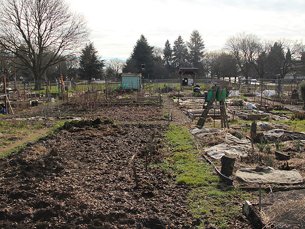 3Garden1