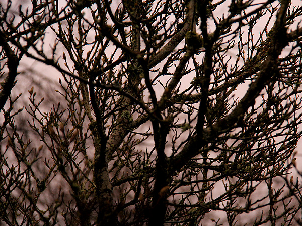 5Evening1