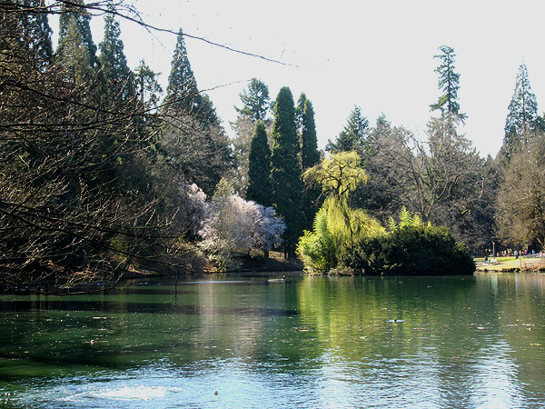 12Pond1
