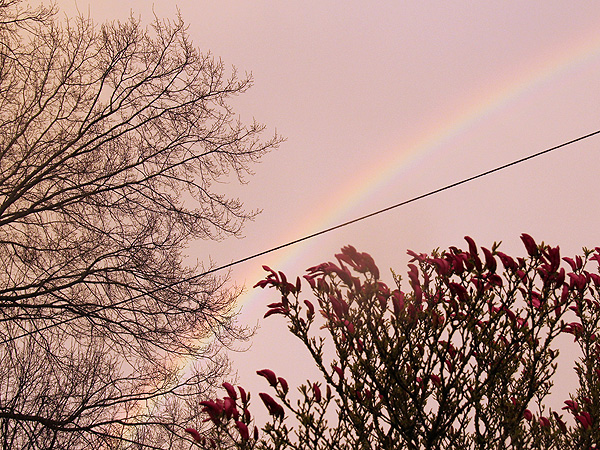 27Rainbow1