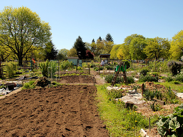 11Garden1