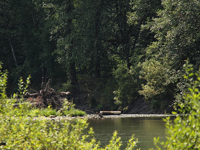 29River14