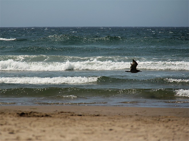 10Beach7