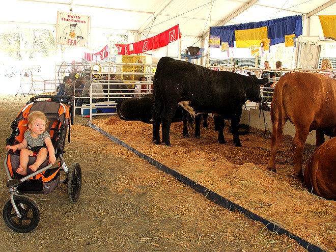 15Fair3