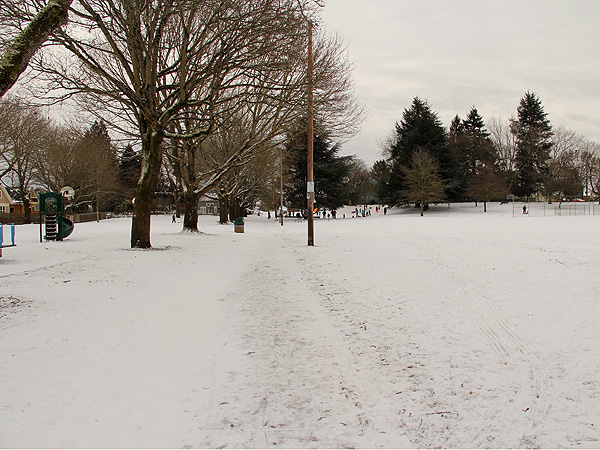 7Snow8