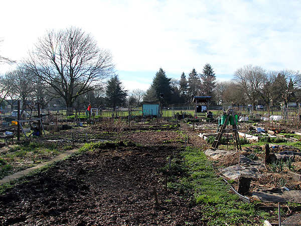28Garden1