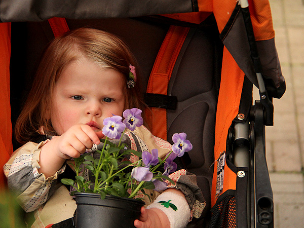 15Nursery1