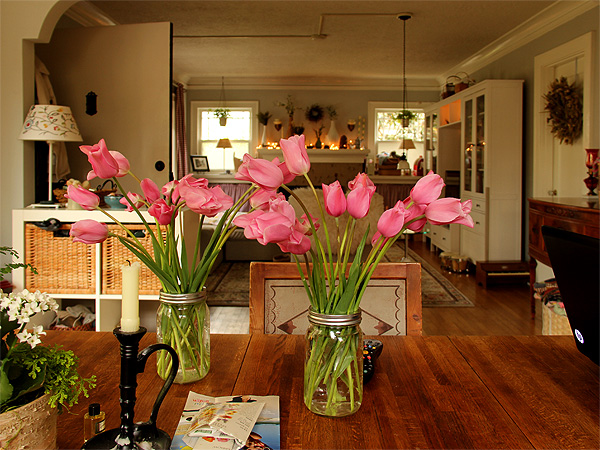 14Tulips1