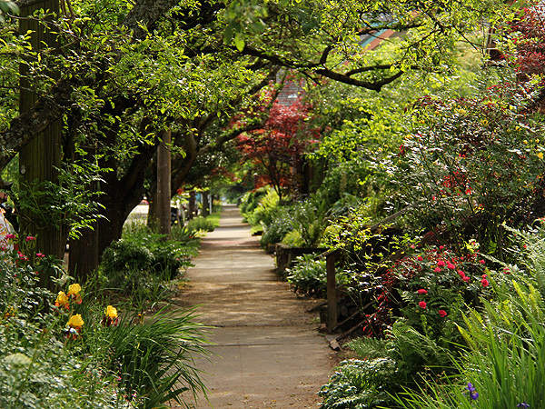 15Walk1