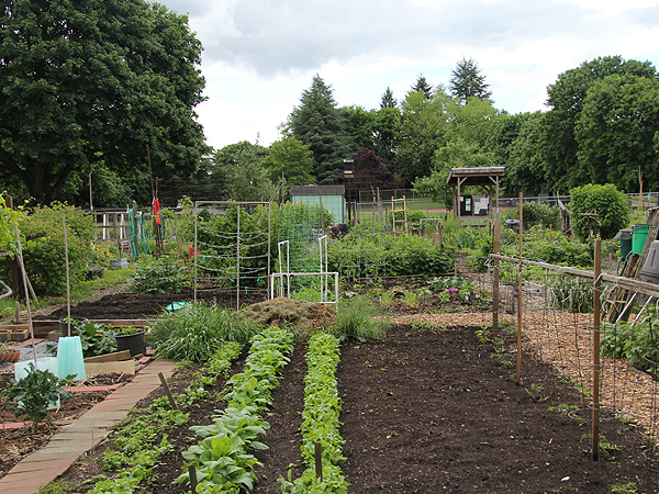 19Garden1