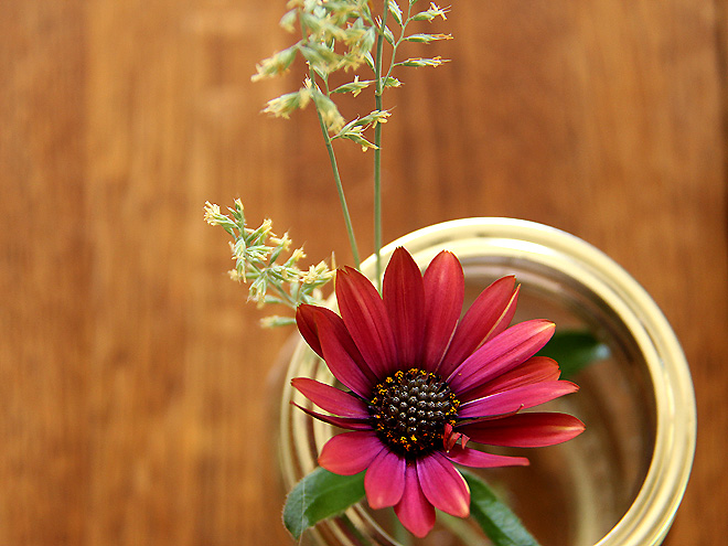 2Flower1