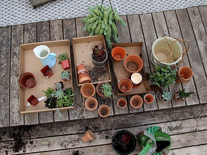 13Planting1