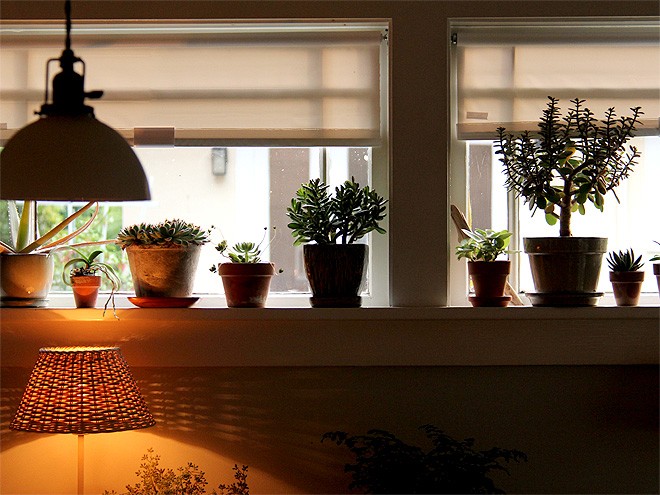 16Window1