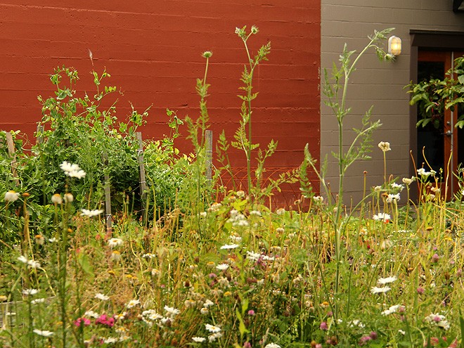 25Garden2