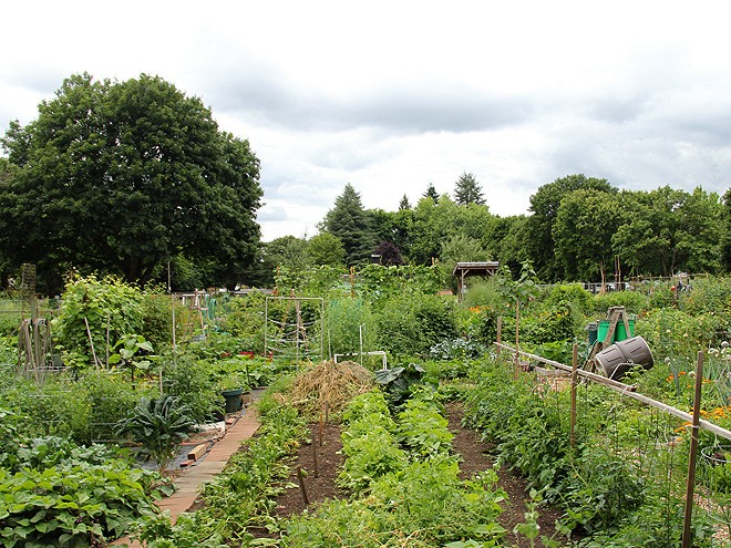 29Garden1