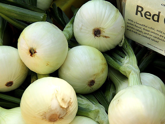 12Onions1 12Onions1