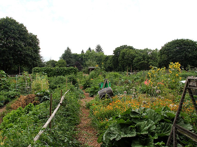 13Garden1