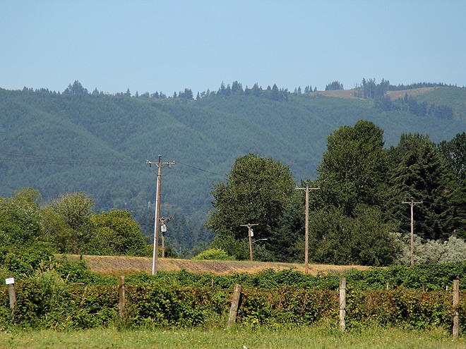 17Sauvie9