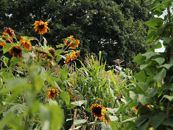 26Garden4