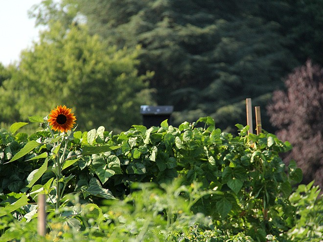 3Garden3