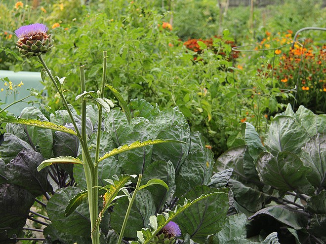 12Garden2