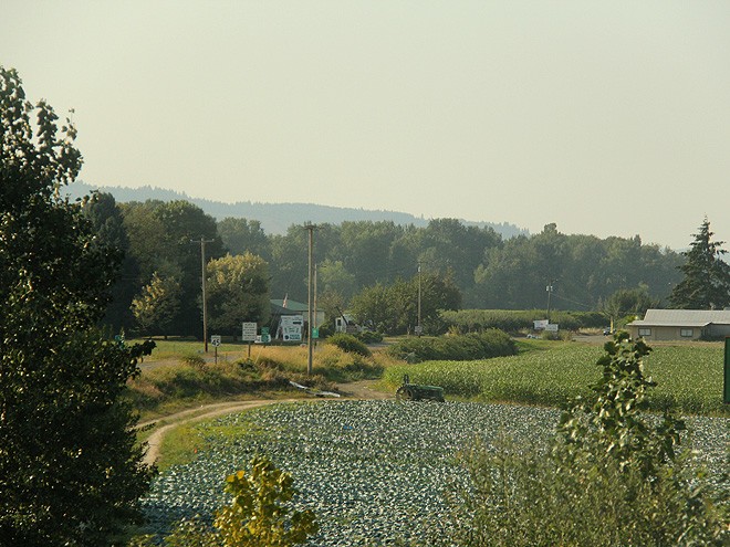 23Sauvie3