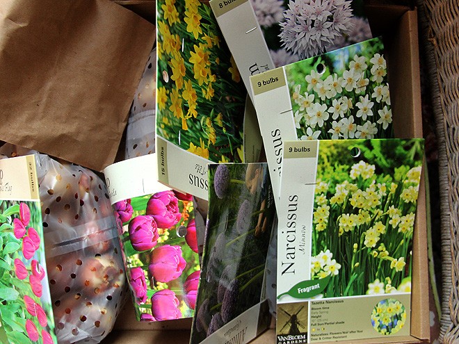 15Bulbs1